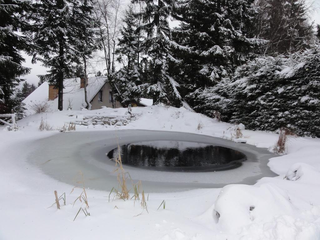 Hotel Pavla Vysocina Nove Mesto na Morave Luaran gambar