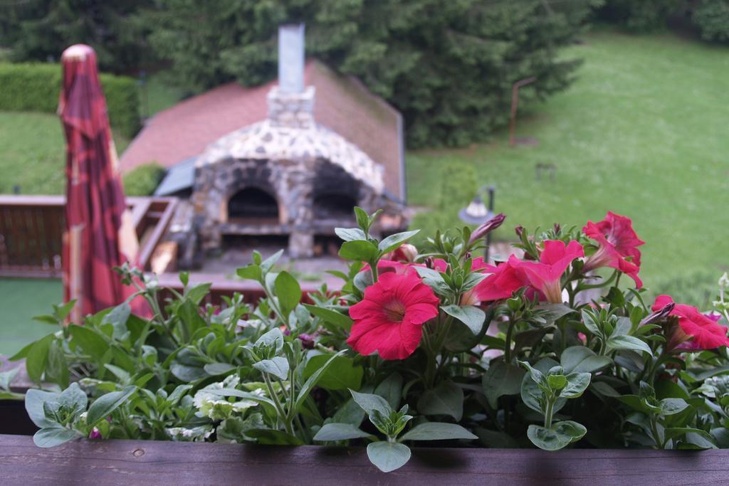 Hotel Pavla Vysocina Nove Mesto na Morave Bilik gambar